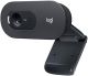 Webcam Logitech C505e